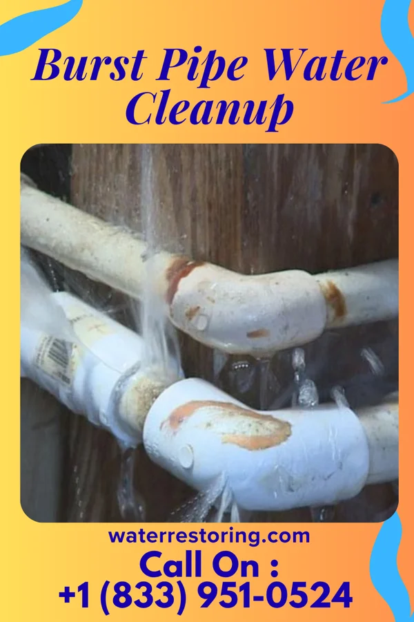 Burst Pipe Water Cleanup in Dutton, AL