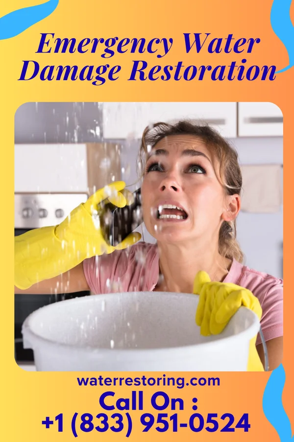 Emergency Water Damage Restoration in Dutton, AL