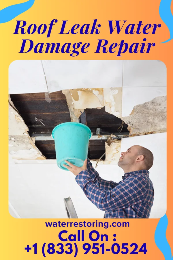 Roof Leak Water Damage Repair in Dutton, AL